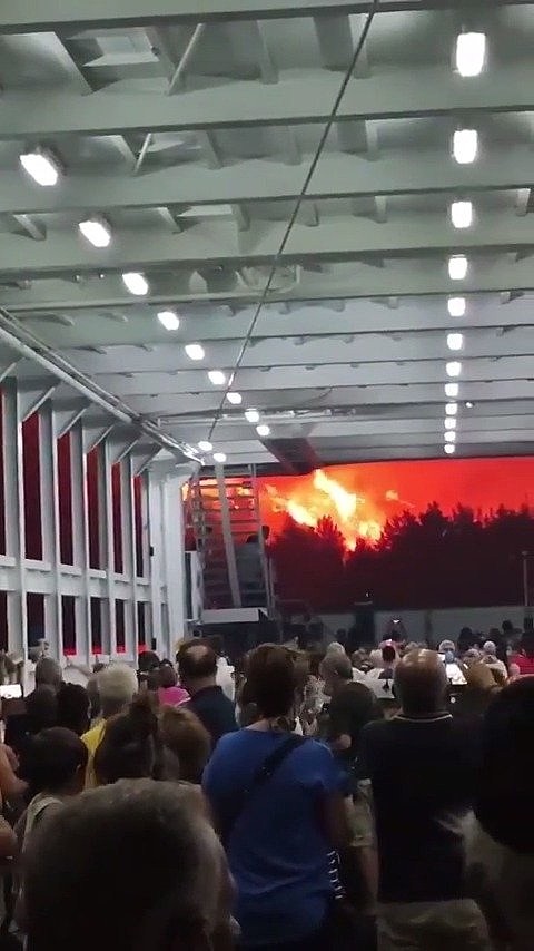 希腊山火失控 天空被火光映红：现场视频显示仿佛灾难片开场 - 1