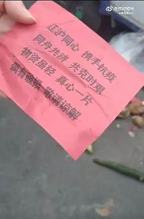 上海称辽宁捐赠蔬菜腐烂才扔垃圾桶？辽宁：冷链运输，菜品新鲜完好 - 9