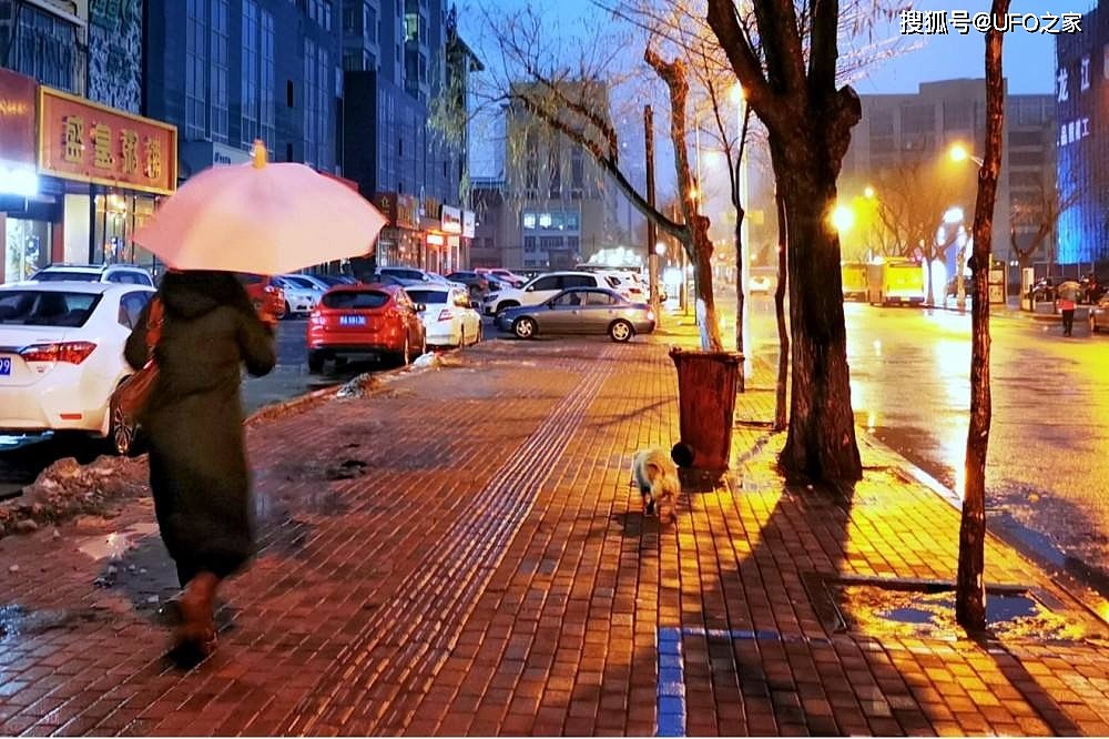 哈尔滨12月下雨，网友：活30年头次见！今冬到底是冷冬还是暖冬？ - 4