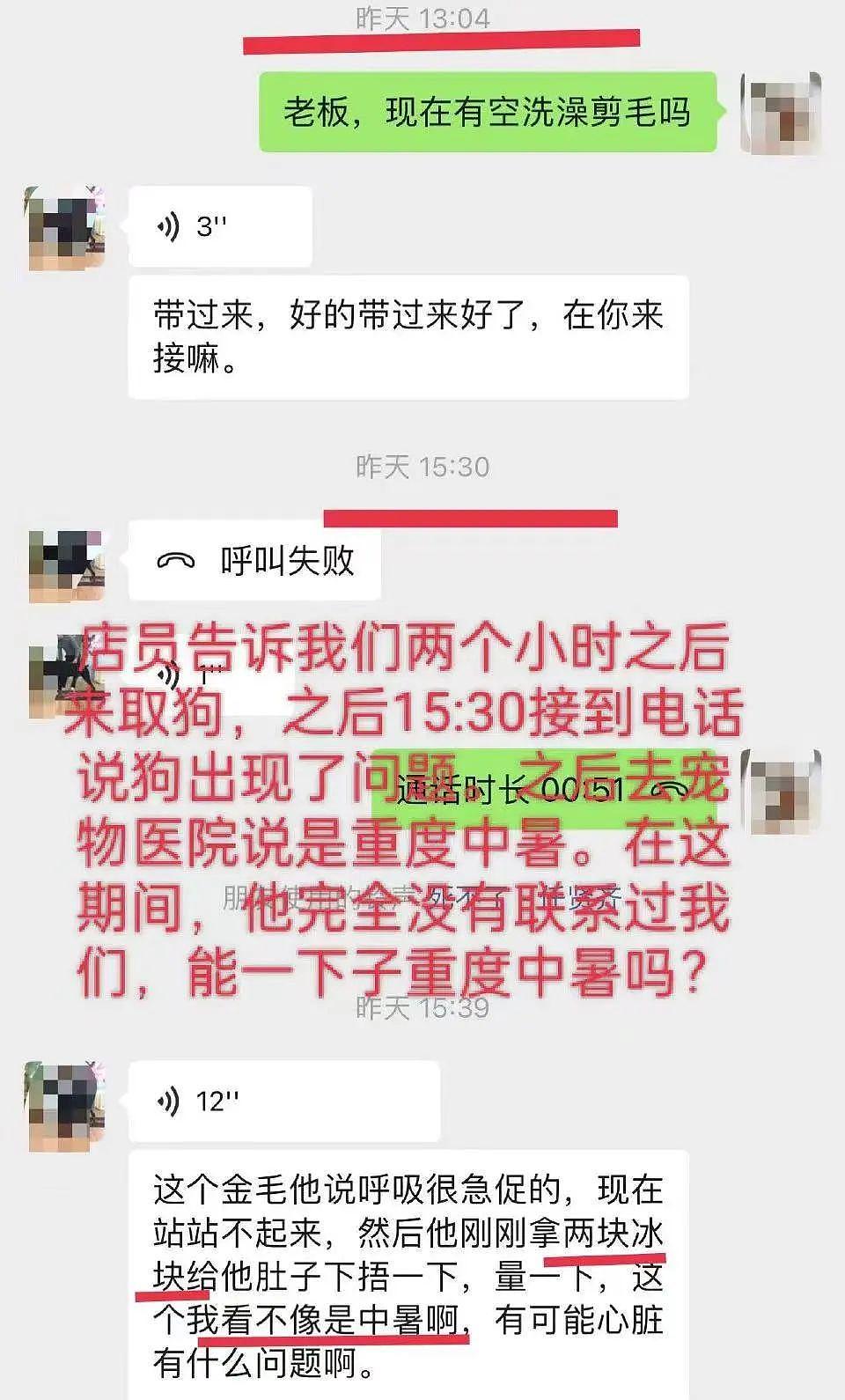 又一只金毛因洗澡死在宠物店，店家逃卸责任的理由太无耻了！ - 3