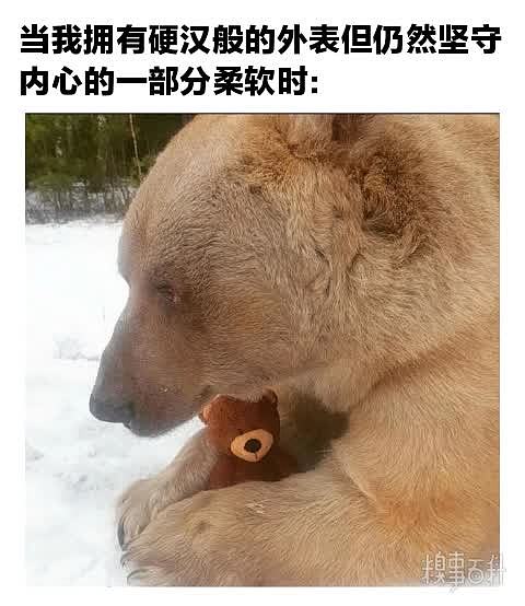 『熊熊』 来个熊抱