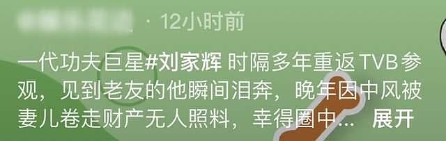 功夫巨星刘家辉近况曝光，受邀回 TVB，见到好友当场痛哭 - 1