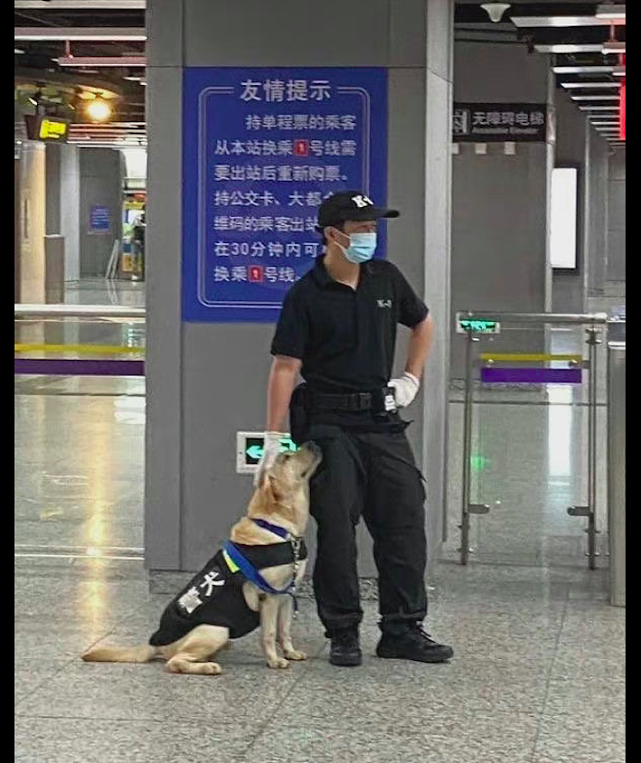 警犬在地铁站里巡逻，靠在主人腿边的模样，好像受气的小媳妇呀！ - 2