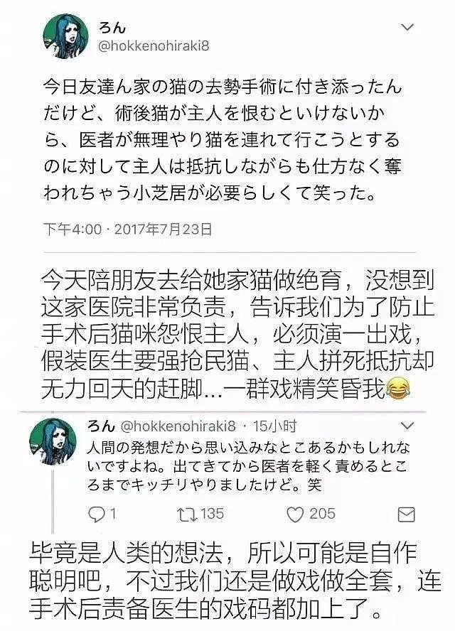 猫咪绝育，主人联合宠物医生演戏，结果…这是“认贼作母”啊！ - 6