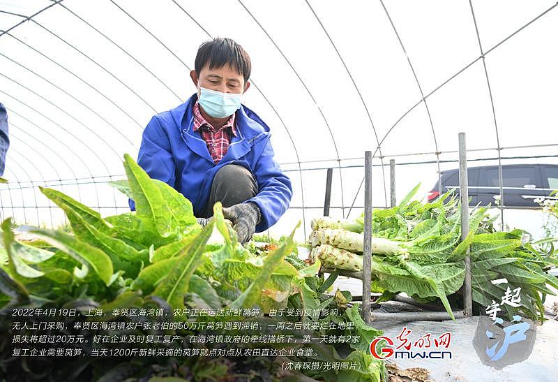 一起守“沪” | 上海：企业复工复产   滞销蔬菜直接进食堂 - 3