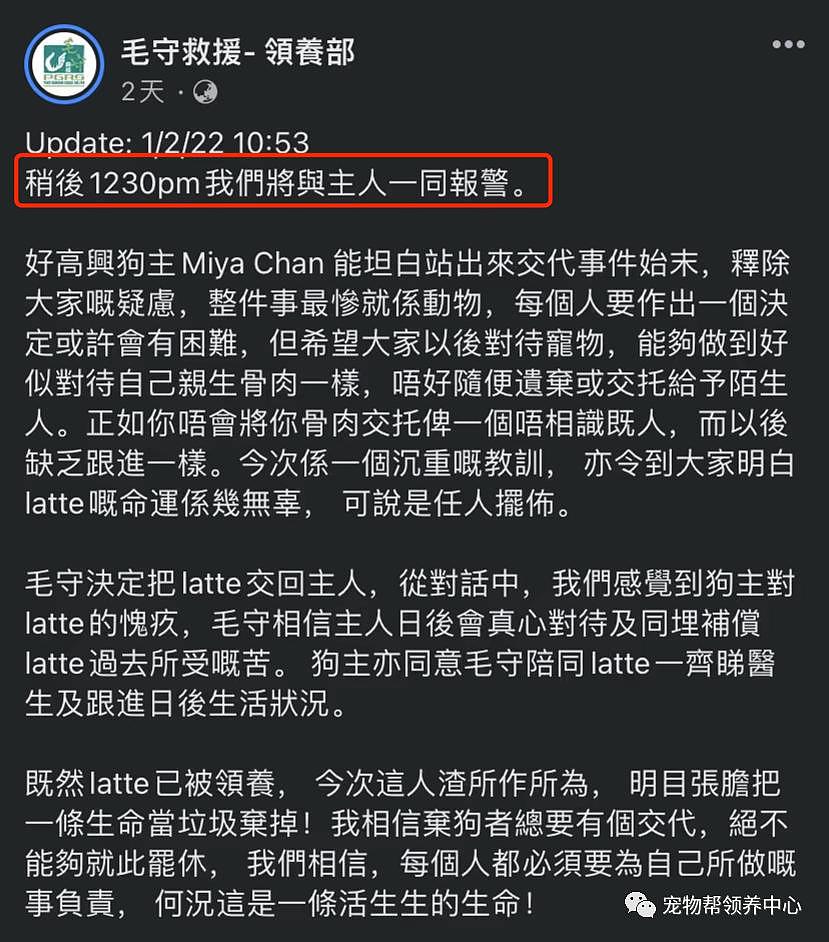 14 岁狗狗大年夜被人遗弃在垃圾桶，这是它第二次被弃养，上一次是因主人怀孕 . - 17