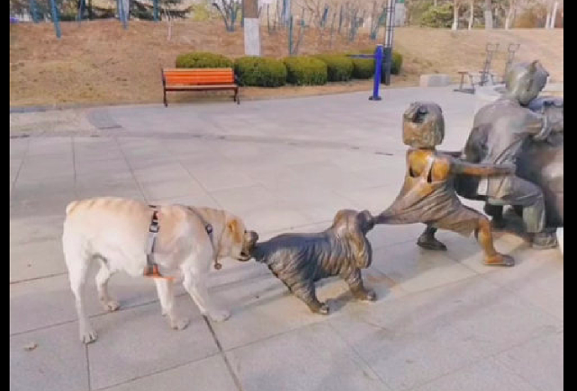 公园的雕塑在推坛子，狗狗误以为真也跑到后面帮忙拉，傻不傻呀！ - 3