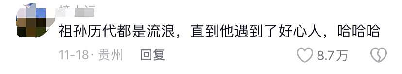 网友捡的小狗每个月变次样，检测后发现狗狗竟混了 15 种基因，有吉娃娃还有狼 . - 27