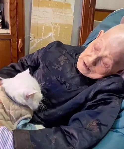 91岁奶奶躺在椅子上，抱着8岁的猫咪：我不在后，要记得听话 - 1