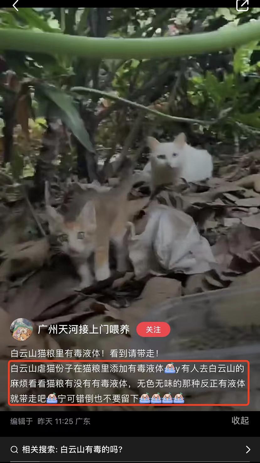 紧急扩散！有一群变态要在广州白云上大量虐杀猫咪，时间就在今晚 8 点！ - 19