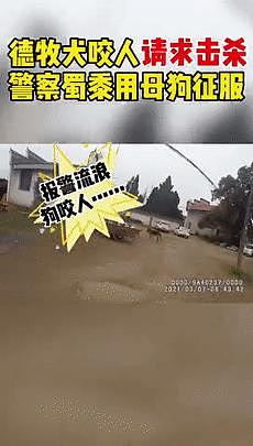 市民举报说楼道里有恶犬扰民，民警赶到后发现恶犬有点萌，反手就给它找了个家 . - 11