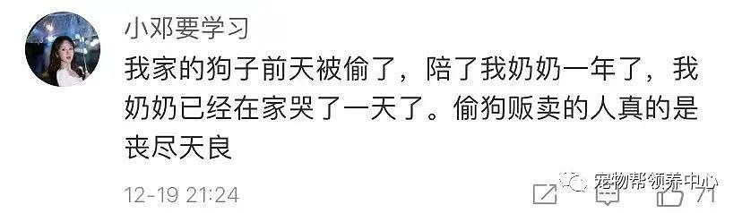 狗狗中毒后跑到派出所门口躲避，却仍没逃过偷狗贼，最后警察为它讨回公道 . - 11