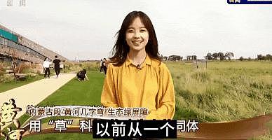 王冰冰：“国民初恋”塌房记 - 15
