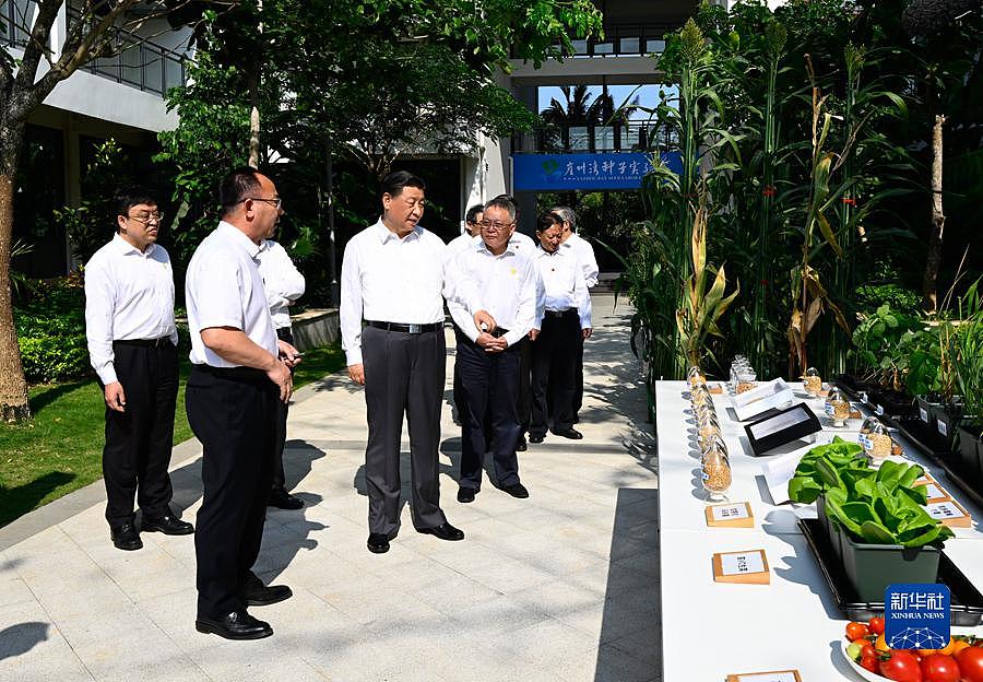 学习进行时丨粮食安全，习近平念兹在兹 - 3