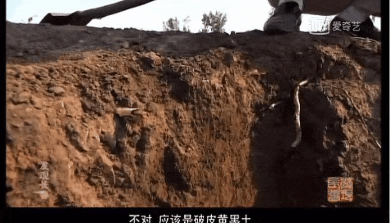 告急！中国最珍贵的黑土正在加速流失 - 2