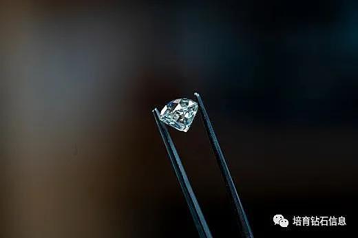 NGTC国检证书告诉你：天然钻石、培育钻石和仿钻的区别 - 1