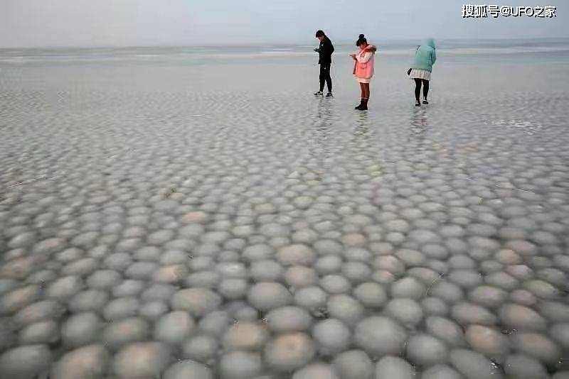 太罕见！吉林四海湖出现满湖“冰汤圆”，大如篮球数量多达数十万 - 16