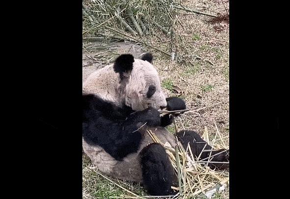 她这次热搜，刷屏内娱，却越扒越心疼 - 11