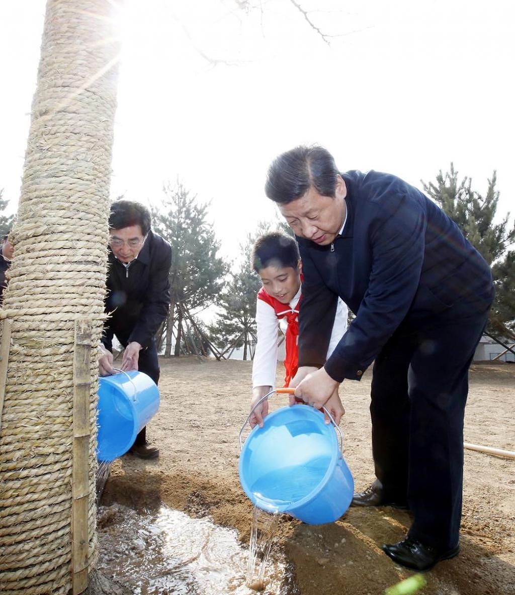 连续 10 年参加首都义务植树 习近平引领建设绿色家园 - 5