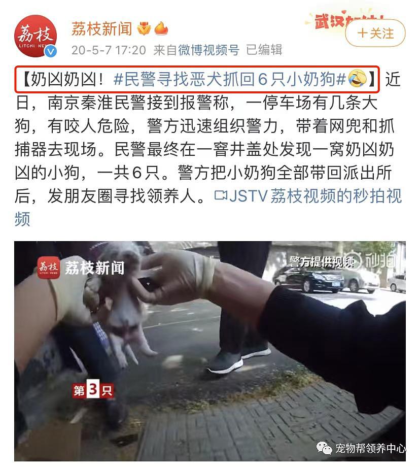 市民举报说楼道里有恶犬扰民，民警赶到后发现恶犬有点萌，反手就给它找了个家 . - 9