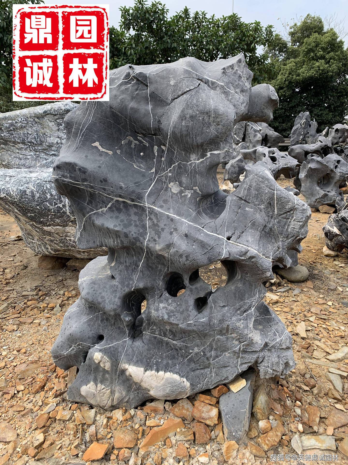 天然太湖石独石是一种奇特的窟窿石 - 1