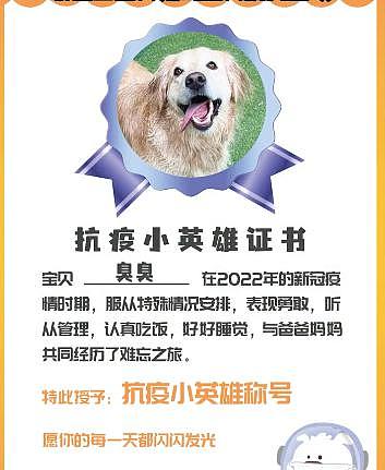 隔离结束，240 只宠物收获“抗疫小英雄”证书回家了，大北京真的太暖了…… - 7