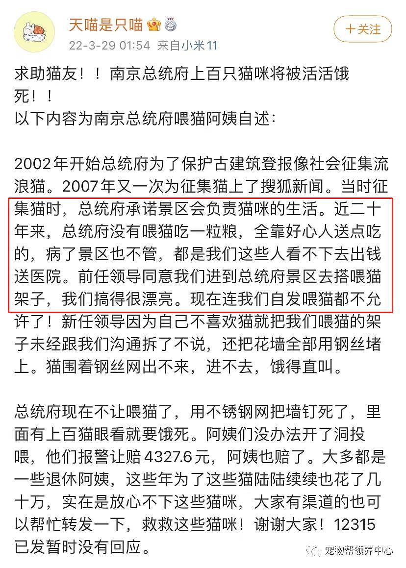 南京总统府曾征集流浪猫捕鼠，说它们是“镇府之宝”，如今却不管猫咪死活了？ - 9