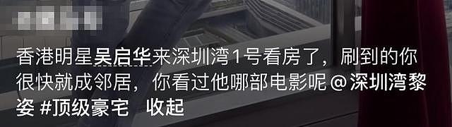 吴启华预购深圳顶级豪宅，每平售价超 30 万，遭嘲咖位不够疑买不起 - 1
