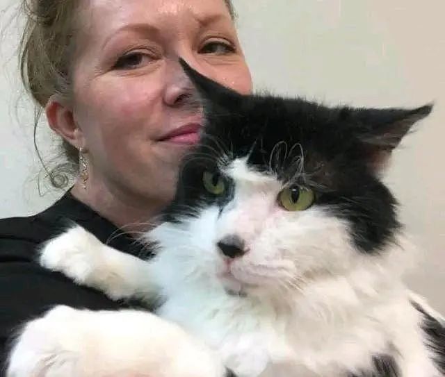 猫咪被关在航空箱，2年没尝过“走路”滋味，被救后见人就要抱抱 - 5