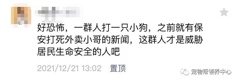 保安收养 7 只生病流浪猫上了热搜，和打死流浪狗的保安一对比，差距太大了 . - 1