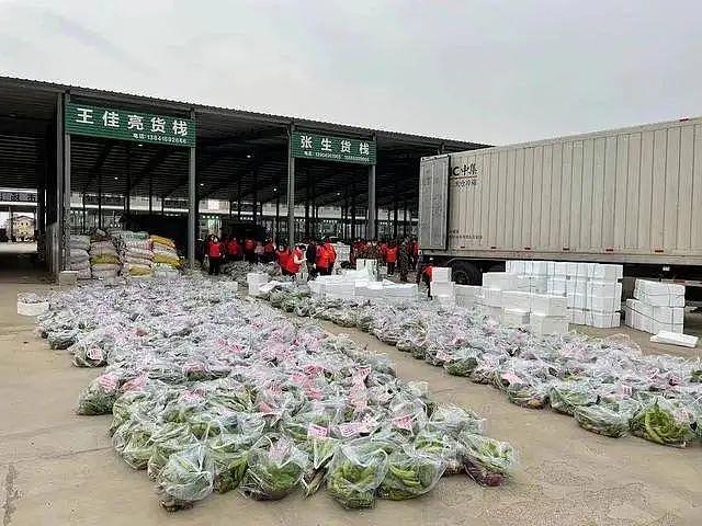 上海称辽宁捐赠蔬菜腐烂才扔垃圾桶？辽宁：冷链运输，菜品新鲜完好 - 7