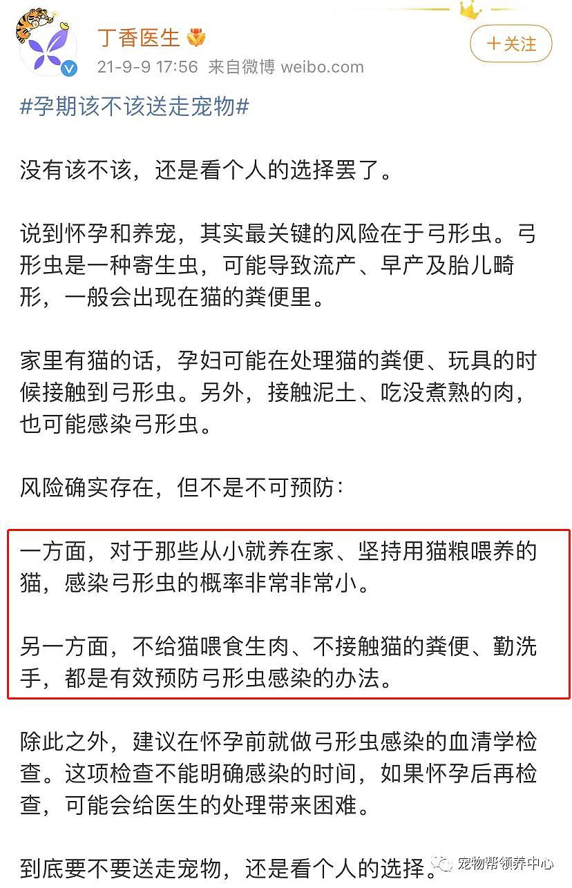 “因为备孕，父母不让我养狗了，说再养狗他们会疯掉，家会散 ... ” - 14