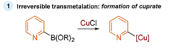 Copper-Facilitated Suzuki Reactions - 4