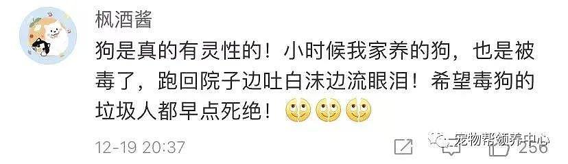 狗狗中毒后跑到派出所门口躲避，却仍没逃过偷狗贼，最后警察为它讨回公道 . - 7