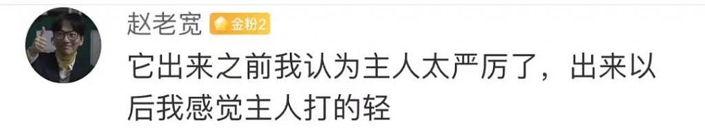 狗子在饭店每天蹭吃胖成猪，都看不出是什么品种了… - 6