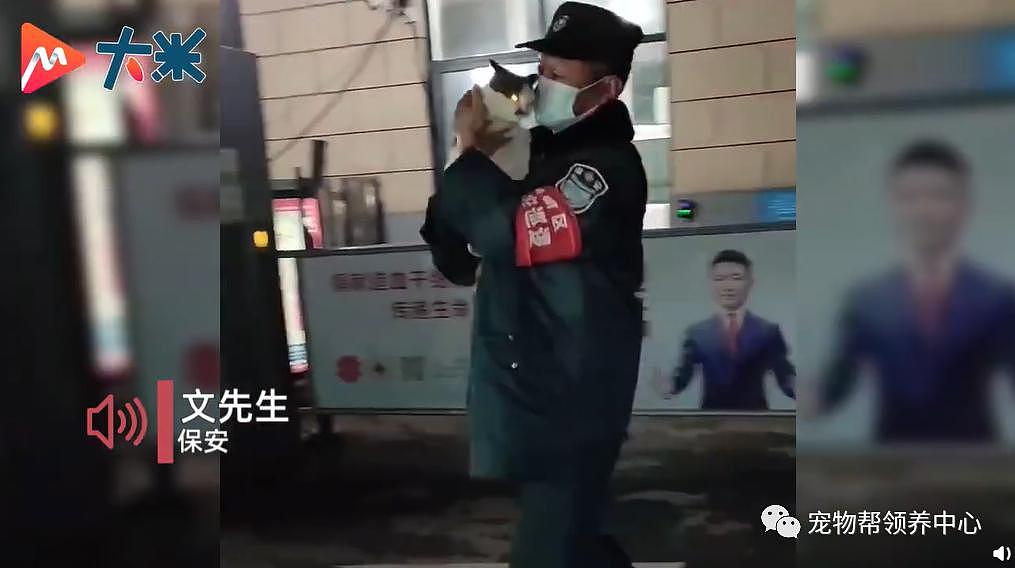 保安收养 7 只生病流浪猫上了热搜，和打死流浪狗的保安一对比，差距太大了 . - 2