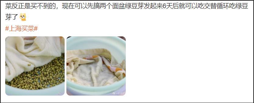上海青比爱马仕还难抢：被上海居民抢菜的段子笑死 - 25