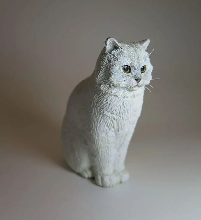 猫趣 | 为了帮铲屎官留下对猫咪的爱与回忆，她成为了一名猫咪雕刻艺术家 - 4