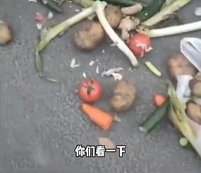 上海称辽宁捐赠蔬菜腐烂才扔垃圾桶？辽宁：冷链运输，菜品新鲜完好 - 13
