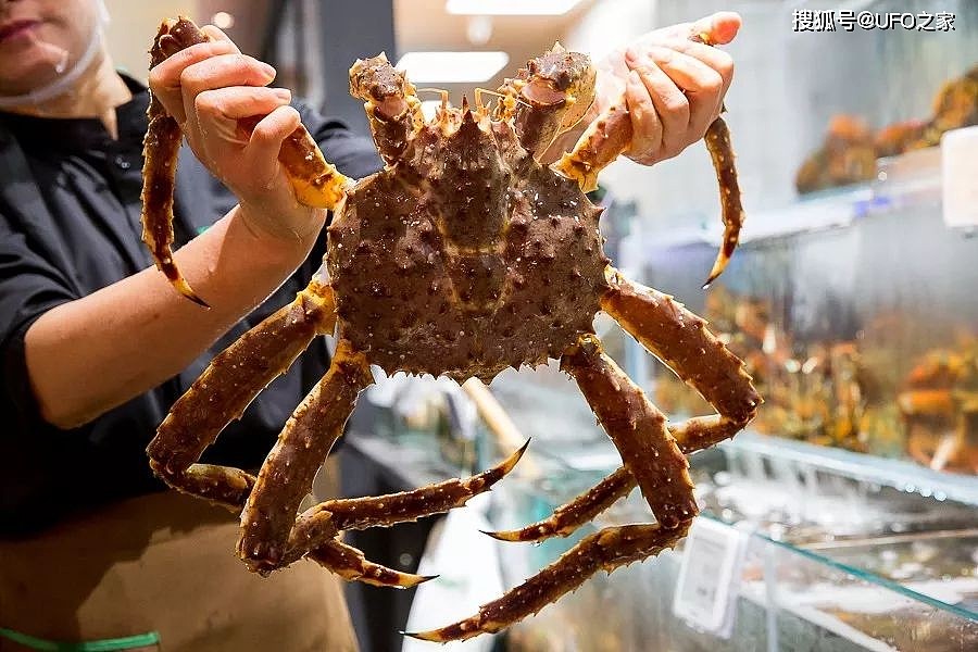 为何说每吃一只帝王蟹，都是在为“拯救世界”作贡献？ - 4