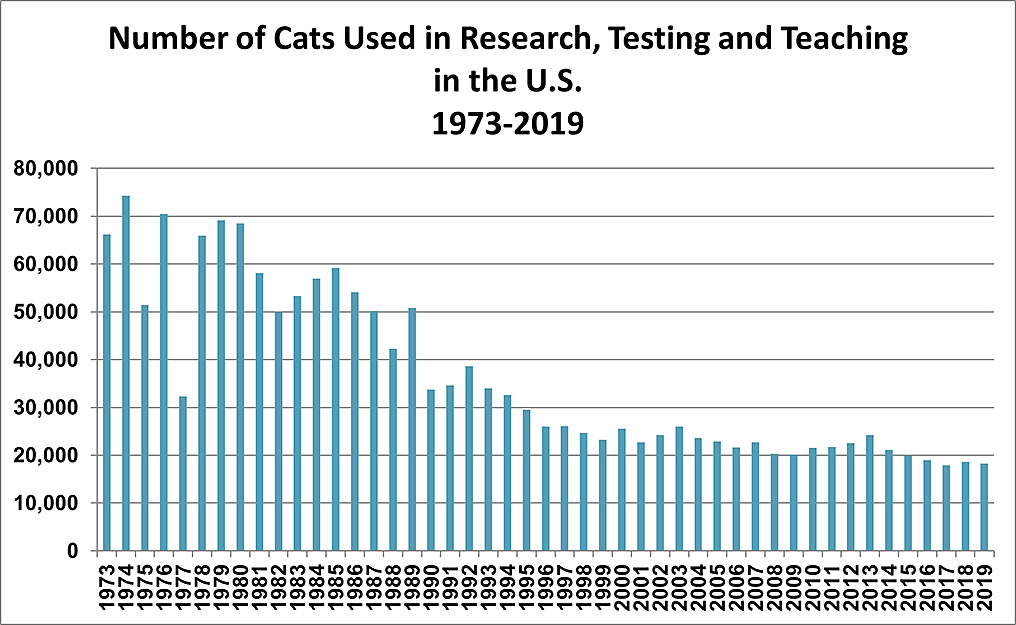 别以为猫猫只会卖萌，人家对科研的贡献比你大多了 - 5
