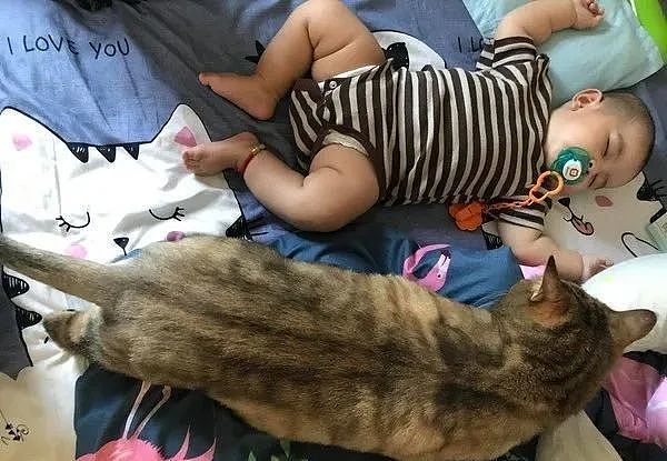 白手套“巨型猫保姆”温柔照顾婴儿，全身放松任宝宝躺 - 5