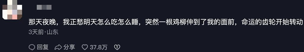 胆小流浪狗被一根鸡柳骗走，三个月后大变样，网友：都快认不出来了！ - 15