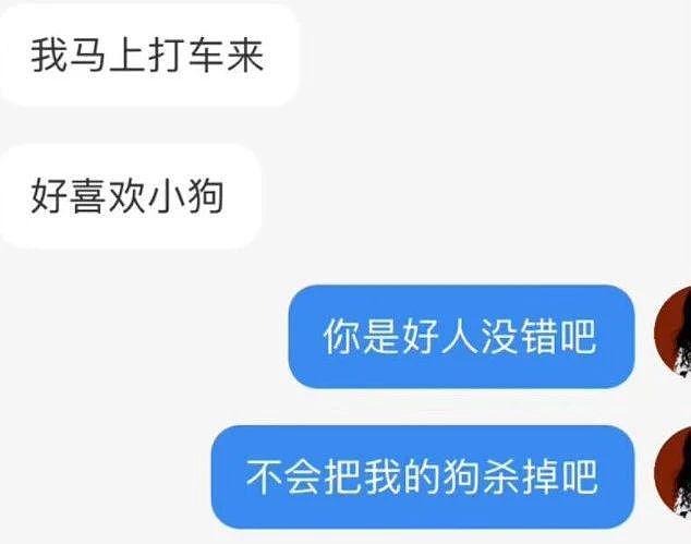 狗子总拆家，主人发帖求大学生帮忙遛狗，结果太热情，预约排了 20 天之后… - 10