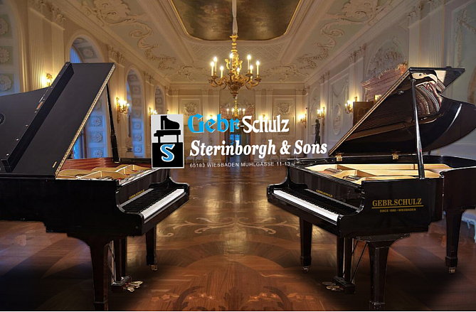 斯坦伯格钢琴:30亿投资|德国大师手工琴世界顶奢钢琴品牌之一 - 2