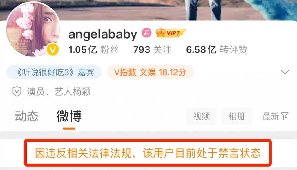 杨颖自从疯马秀事件后微博被禁言 会是下一个范冰冰么 - 37