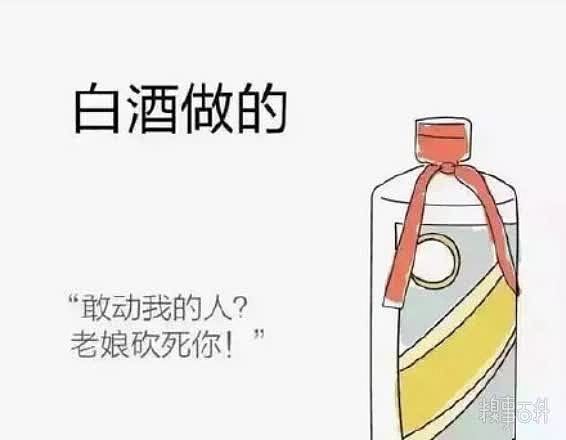 你的女朋友是什么做的