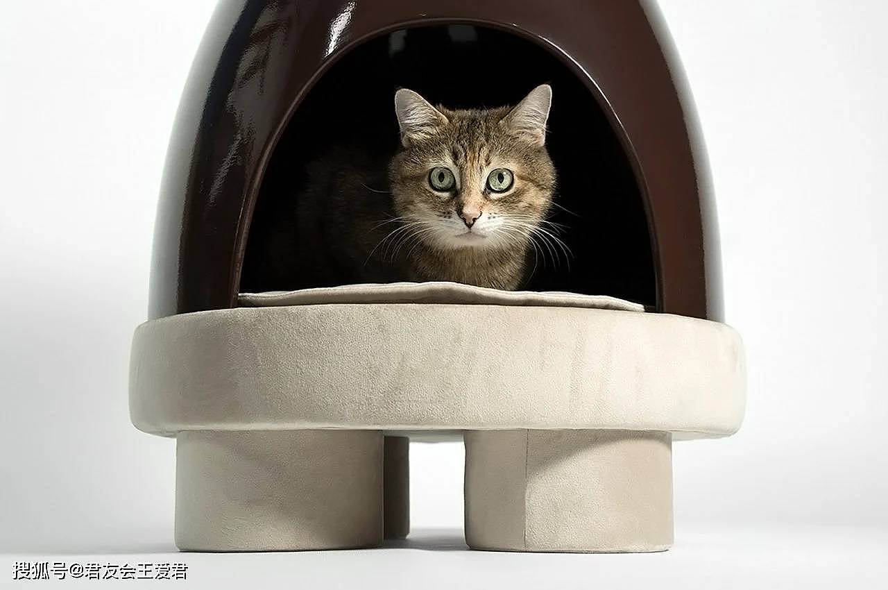 专才资源第15期-产品设计-宠物猫之家咖啡桌 - 1