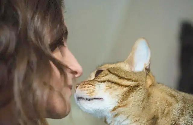 猫咪每天亲吻你的嘴巴，或许刚刚喝了马桶水 - 1