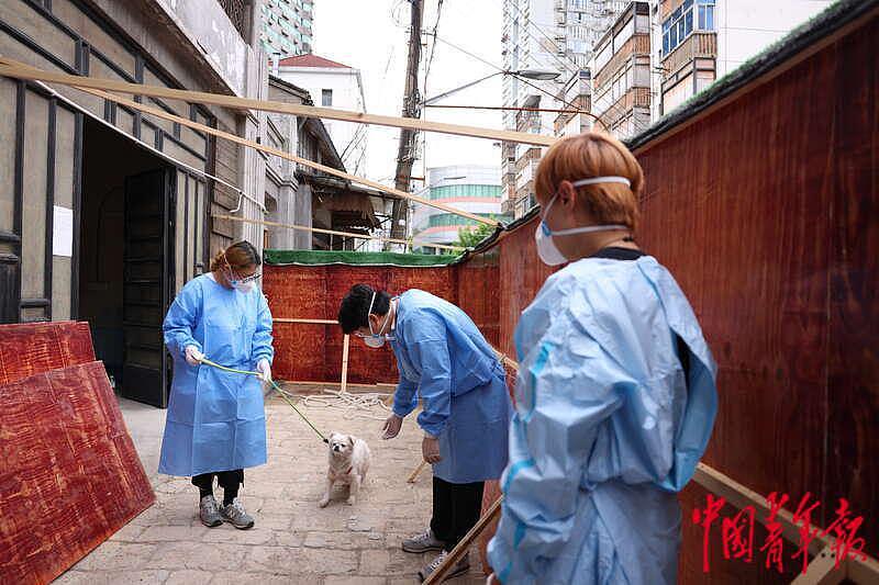 探访上海首个“动物方舱”：疫情下的温情与守护 - 16